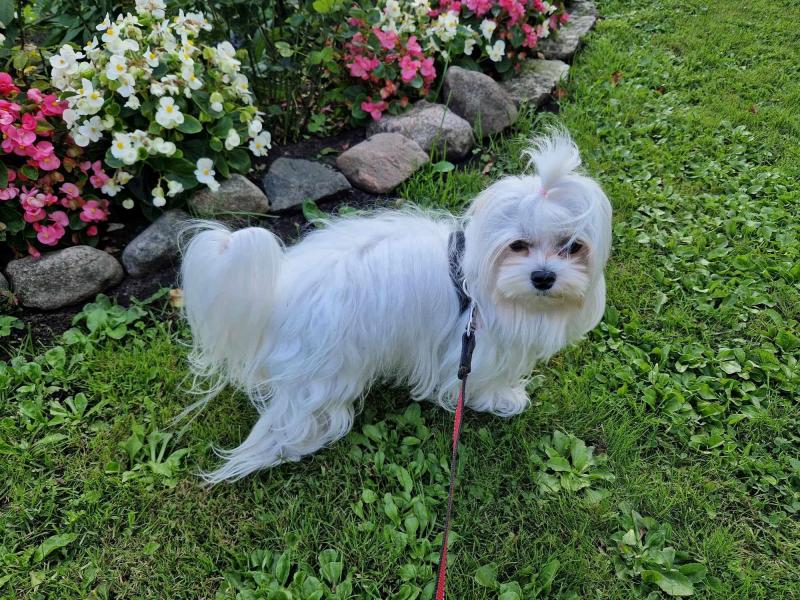 Ulvi2016 uploaded   1 year/s ago