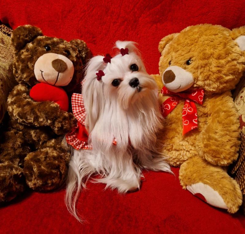 Ulvi2016 uploaded   1 year/s ago