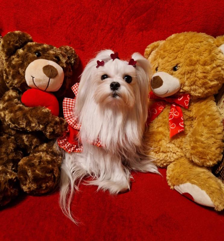 Ulvi2016 uploaded   1 year/s ago