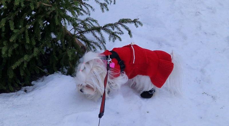 Ulvi2016 uploaded   1 year/s ago