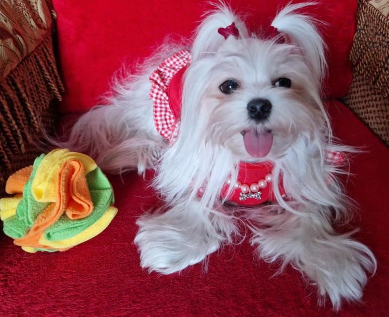 Ulvi2016 uploaded   1 year/s ago