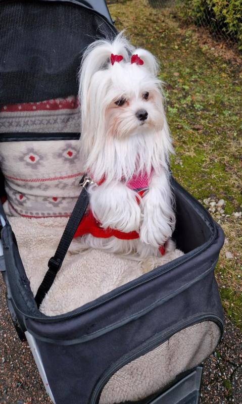 Ulvi2016 uploaded   1 year/s ago