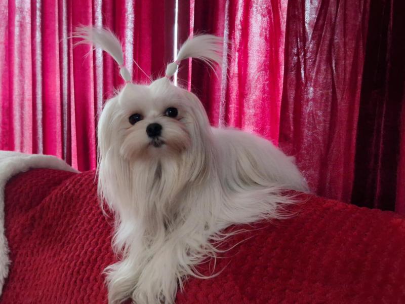 Ulvi2016 uploaded   1 year/s ago