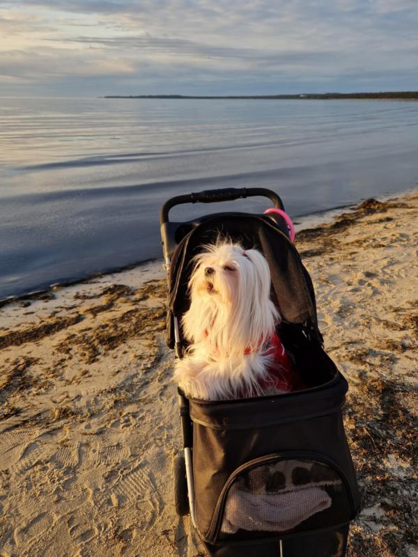 Ulvi2016 uploaded   1 year/s ago