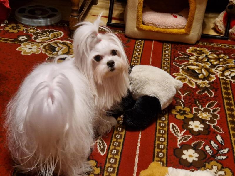 Ulvi2016 uploaded   1 year/s ago