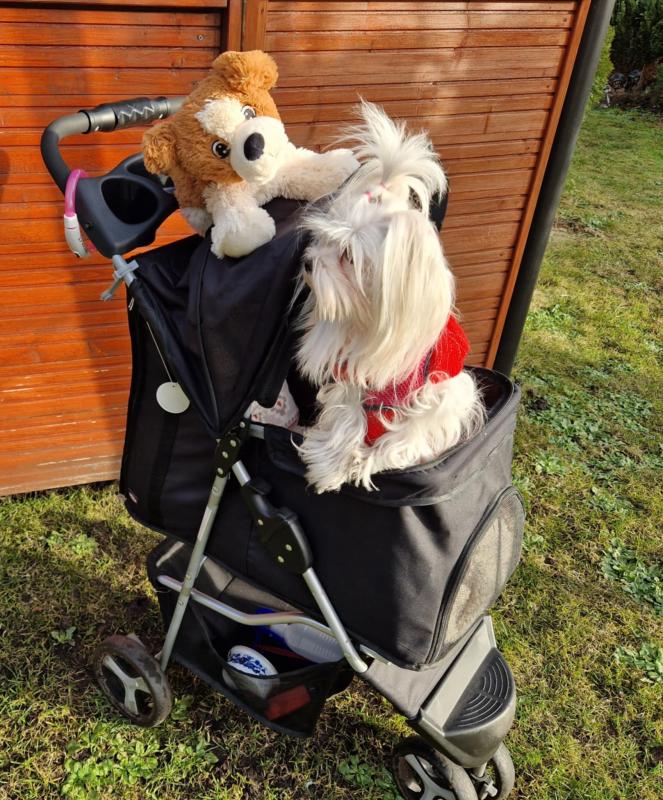 Ulvi2016 uploaded   1 year/s ago