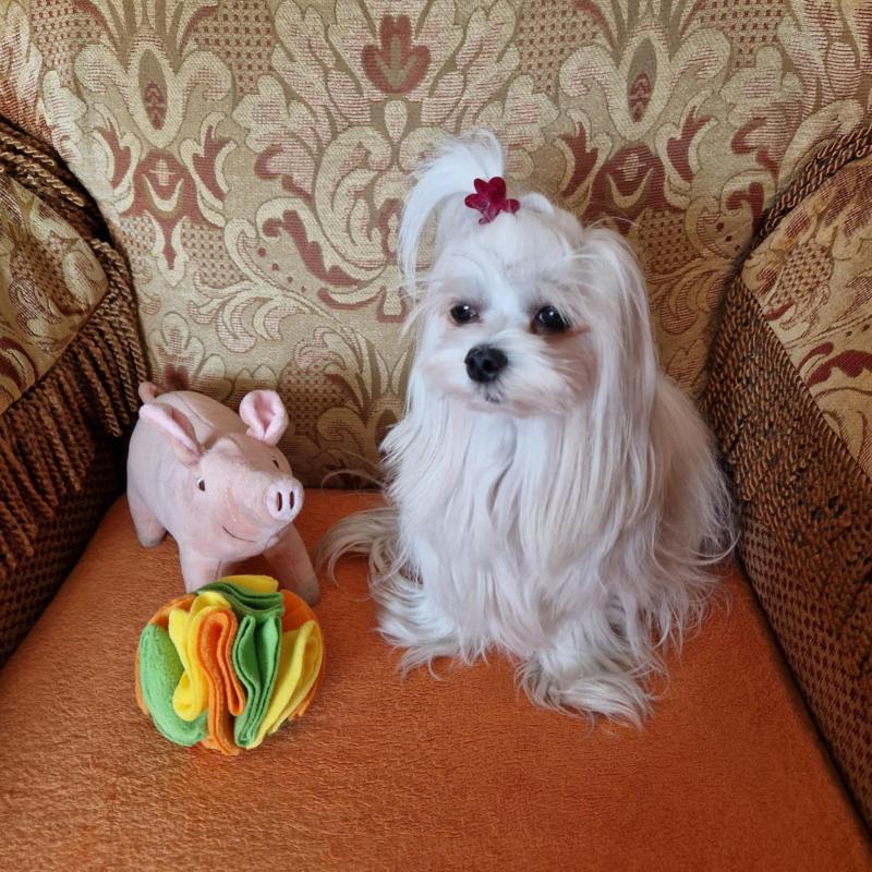 Ulvi2016 uploaded   1 year/s ago