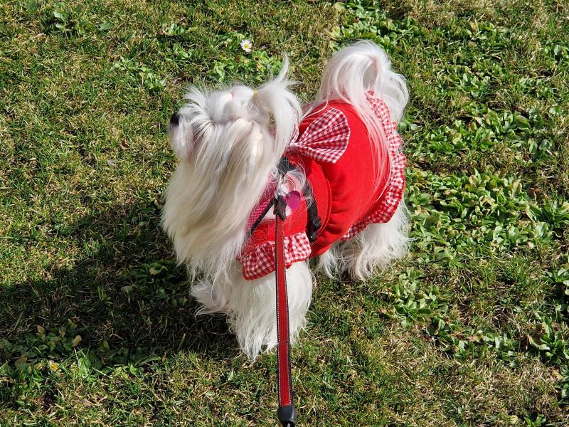 Ulvi2016 uploaded   1 year/s ago