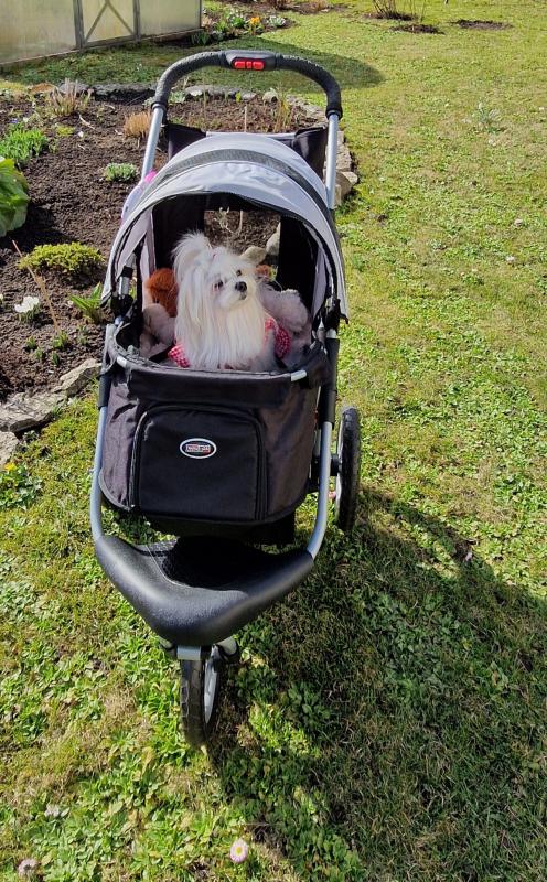 Ulvi2016 uploaded   1 year/s ago