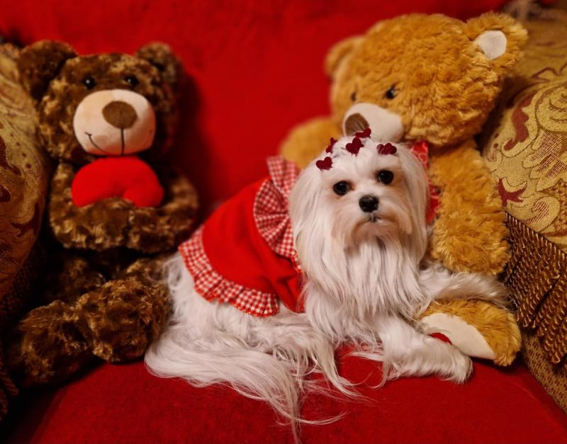 Ulvi2016 uploaded   1 year/s ago