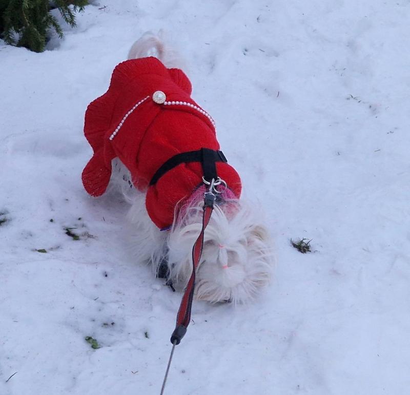 Ulvi2016 uploaded   1 year/s ago