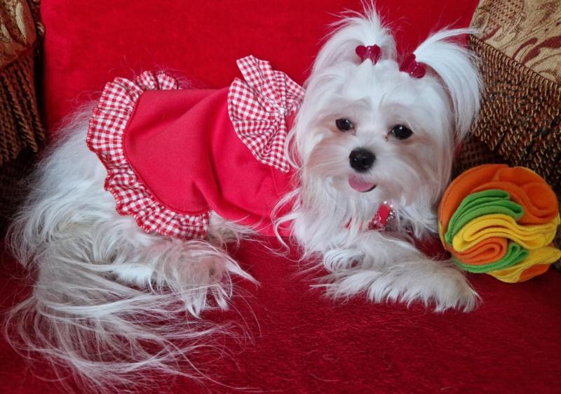 Ulvi2016 uploaded   1 year/s ago