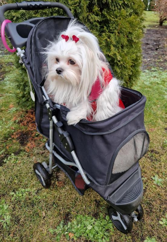 Ulvi2016 uploaded   1 year/s ago