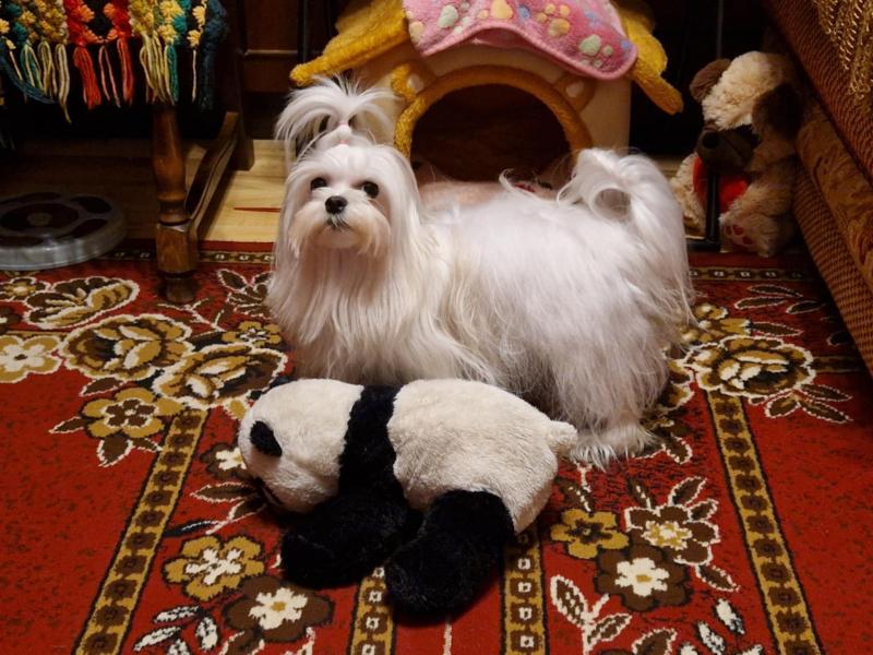 Ulvi2016 uploaded   1 year/s ago