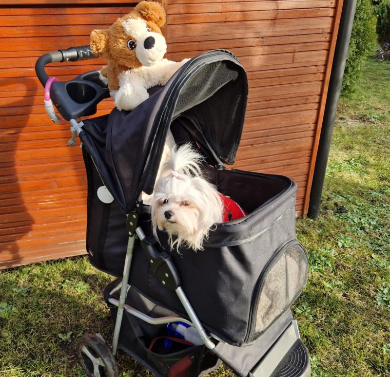 Ulvi2016 uploaded   1 year/s ago