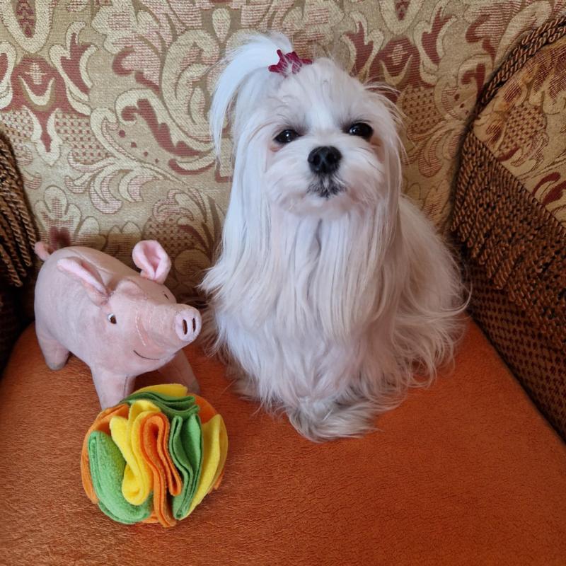 Ulvi2016 uploaded   1 year/s ago