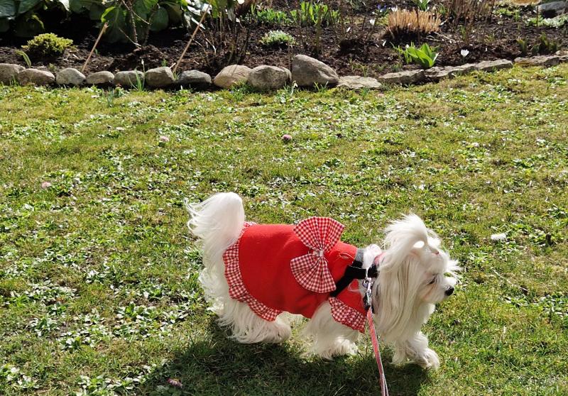 Ulvi2016 uploaded   1 year/s ago