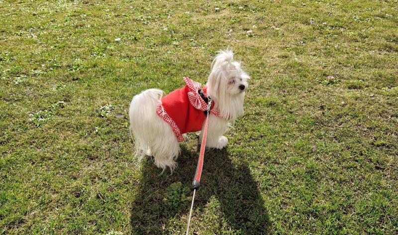 Ulvi2016 uploaded   1 year/s ago