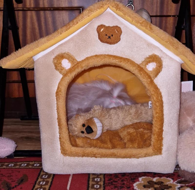 Ulvi2016 uploaded   1 year/s ago