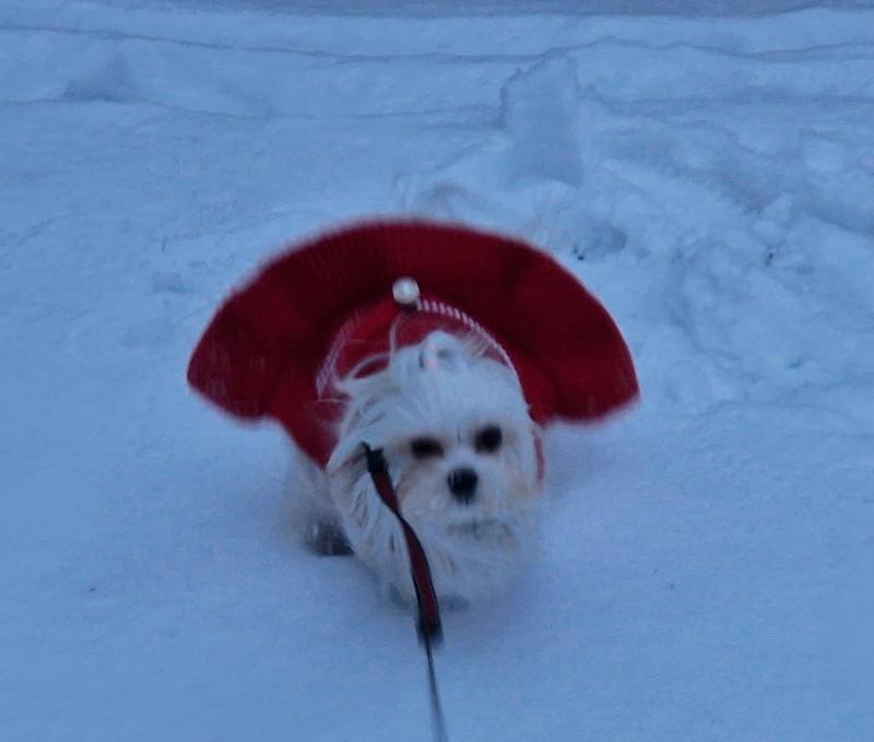 Ulvi2016 uploaded   1 year/s ago