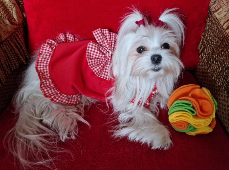 Ulvi2016 uploaded   1 year/s ago