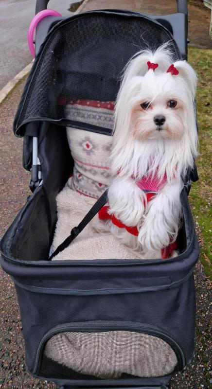 Ulvi2016 uploaded   1 year/s ago