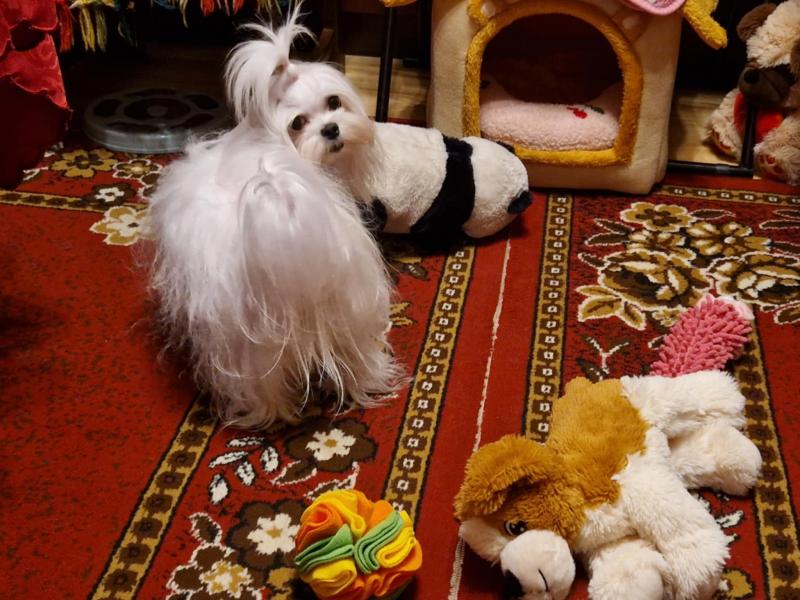 Ulvi2016 uploaded   1 year/s ago