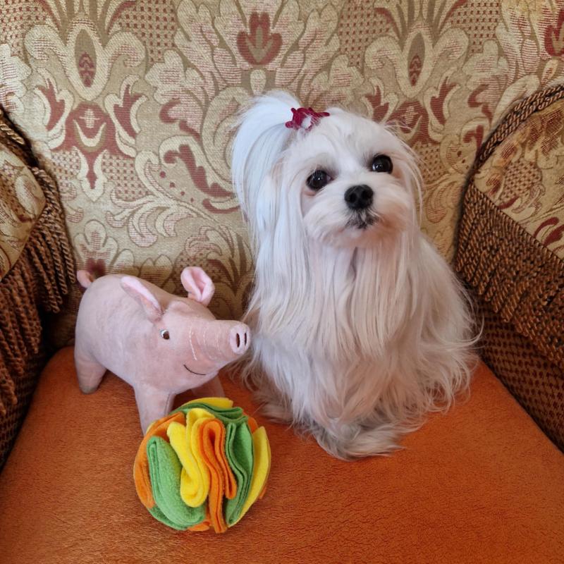 Ulvi2016 uploaded   1 year/s ago