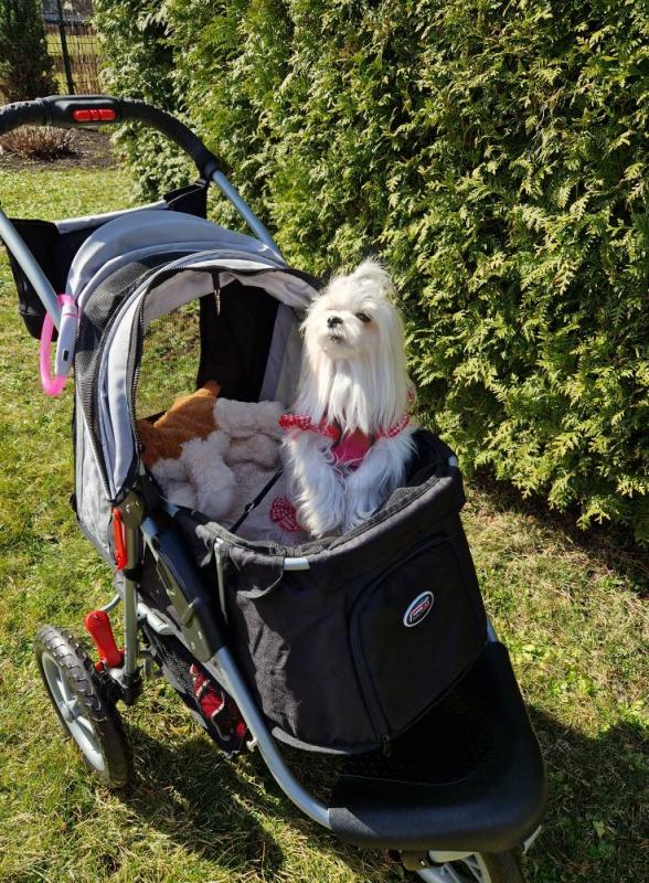 Ulvi2016 uploaded   1 year/s ago