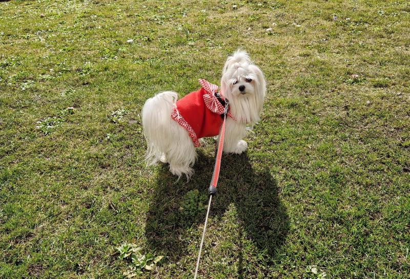 Ulvi2016 uploaded   1 year/s ago