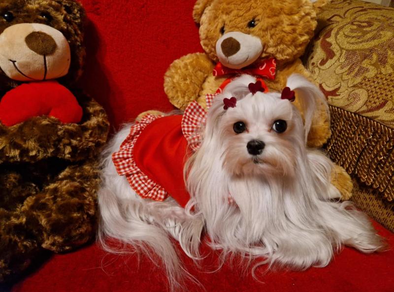 Ulvi2016 uploaded   1 year/s ago