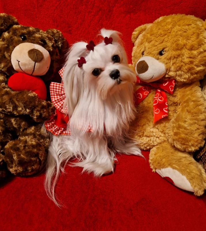 Ulvi2016 uploaded   1 year/s ago