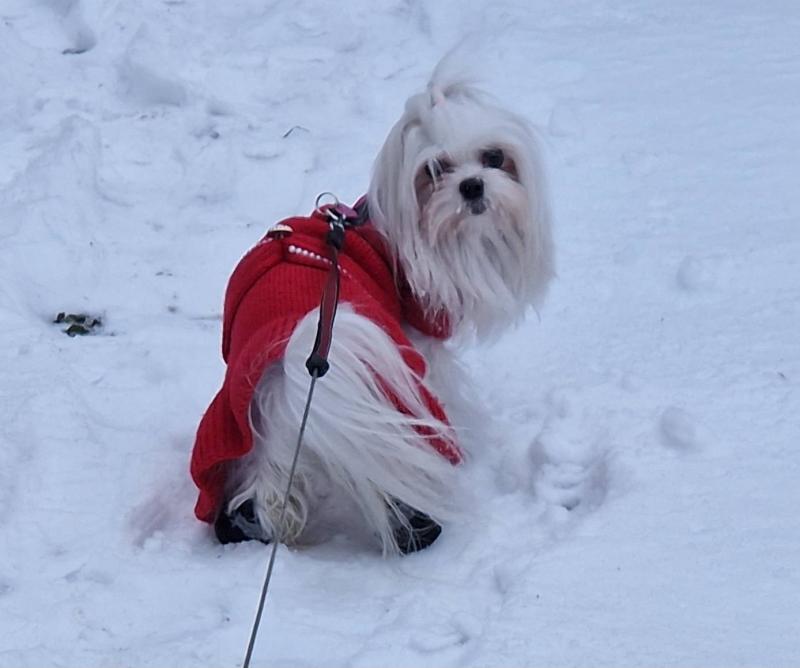 Ulvi2016 uploaded   1 year/s ago