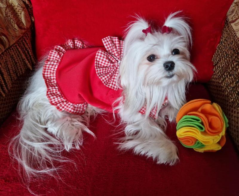 Ulvi2016 uploaded   1 year/s ago