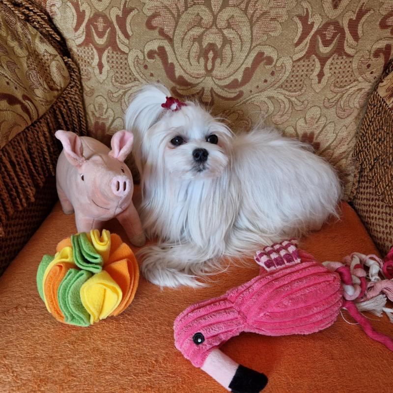 Ulvi2016 uploaded   1 year/s ago