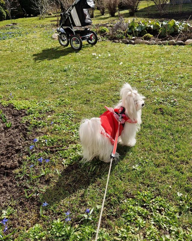 Ulvi2016 uploaded   1 year/s ago