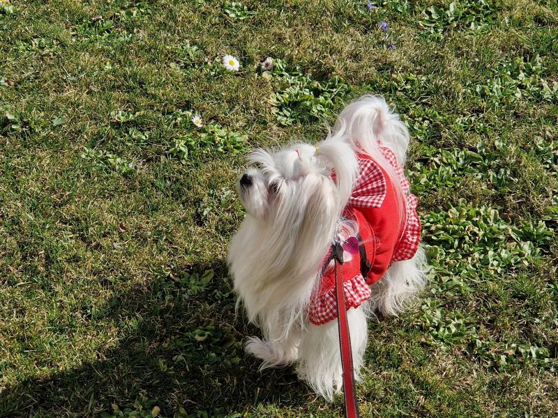 Ulvi2016 uploaded   1 year/s ago