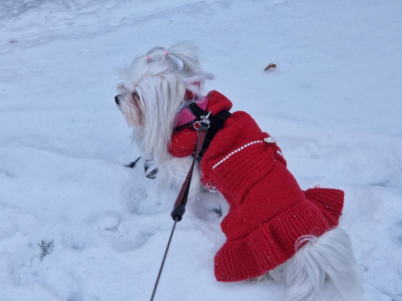 Ulvi2016 uploaded   1 year/s ago