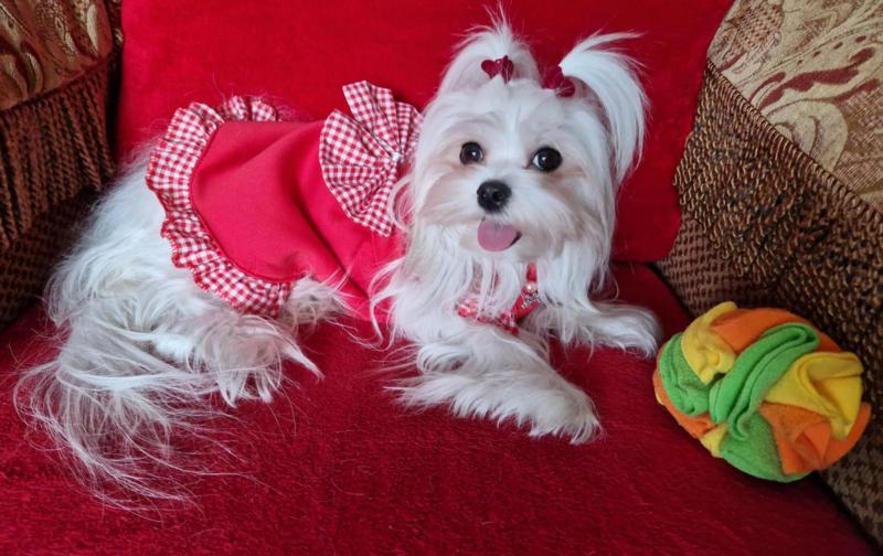 Ulvi2016 uploaded   1 year/s ago