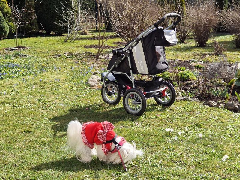 Ulvi2016 uploaded   1 year/s ago