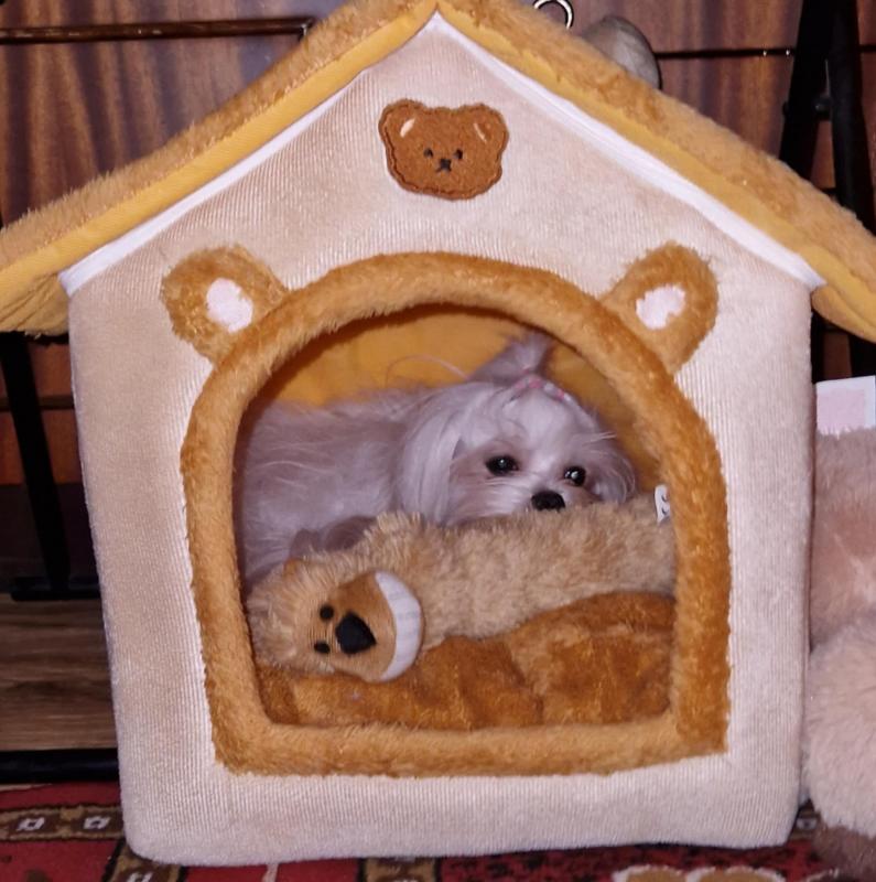 Ulvi2016 uploaded   1 year/s ago