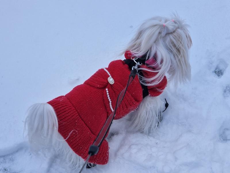 Ulvi2016 uploaded   1 year/s ago