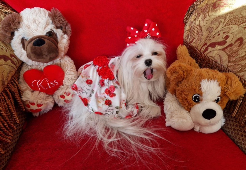 Ulvi2016 uploaded   1 year/s ago