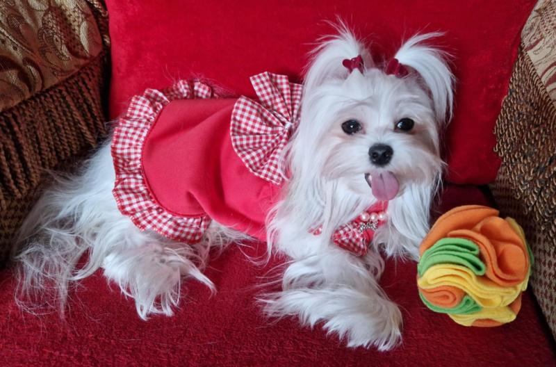 Ulvi2016 uploaded   1 year/s ago