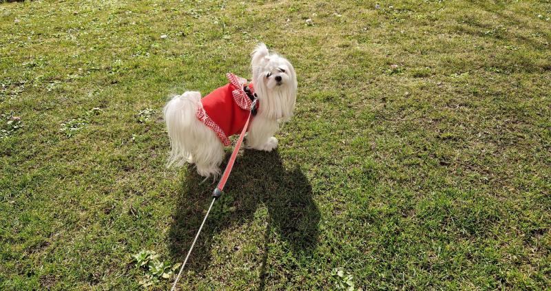 Ulvi2016 uploaded   1 year/s ago