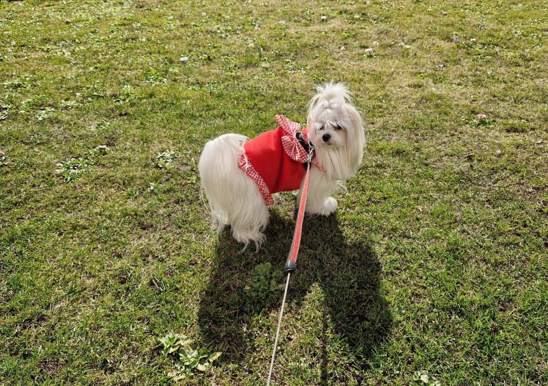 Ulvi2016 uploaded   1 year/s ago