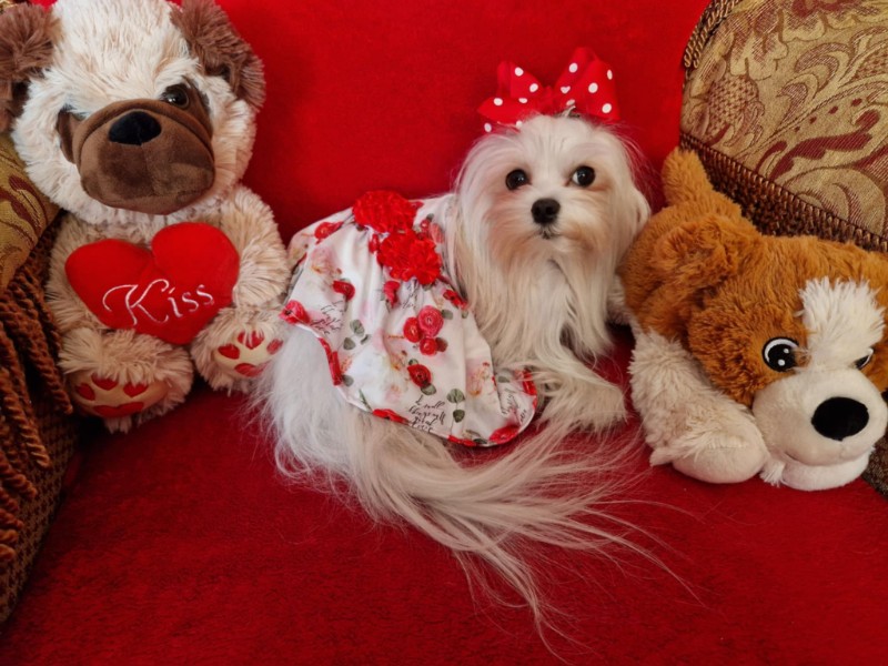 Ulvi2016 uploaded   1 year/s ago