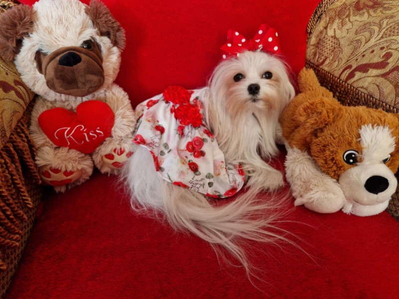 Ulvi2016 uploaded   1 year/s ago