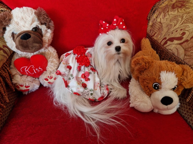 Ulvi2016 uploaded   1 year/s ago