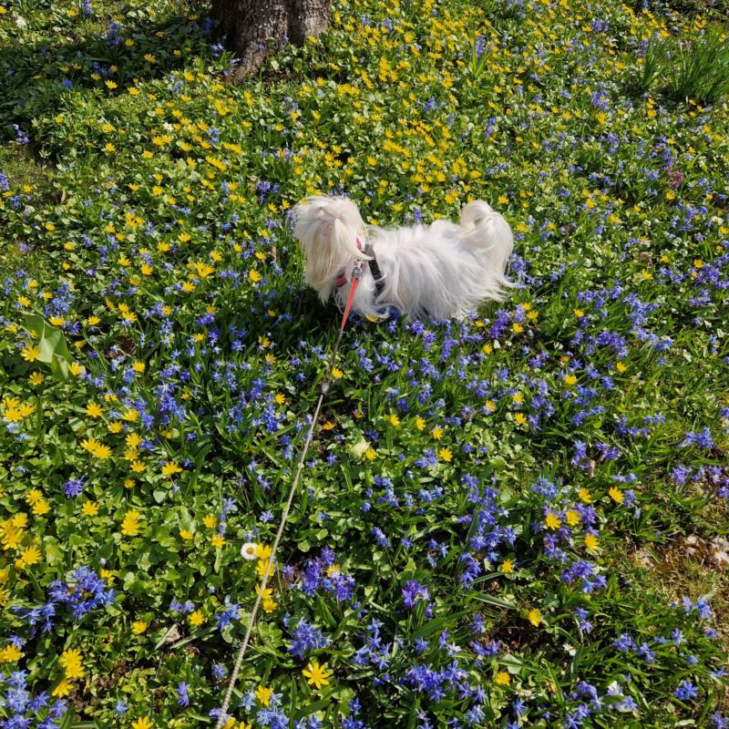 Ulvi2016 uploaded   1 year/s ago